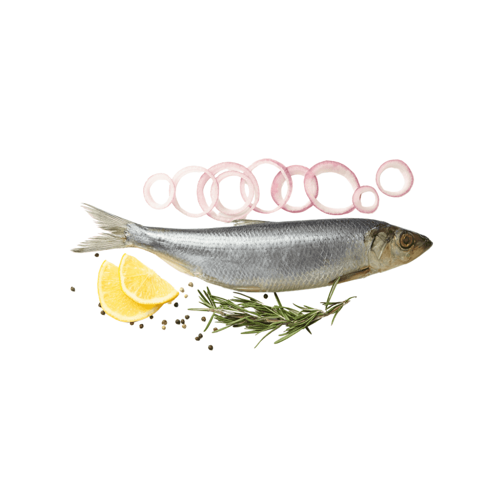 Śledż małosolne "Dauparu" (460g) luz