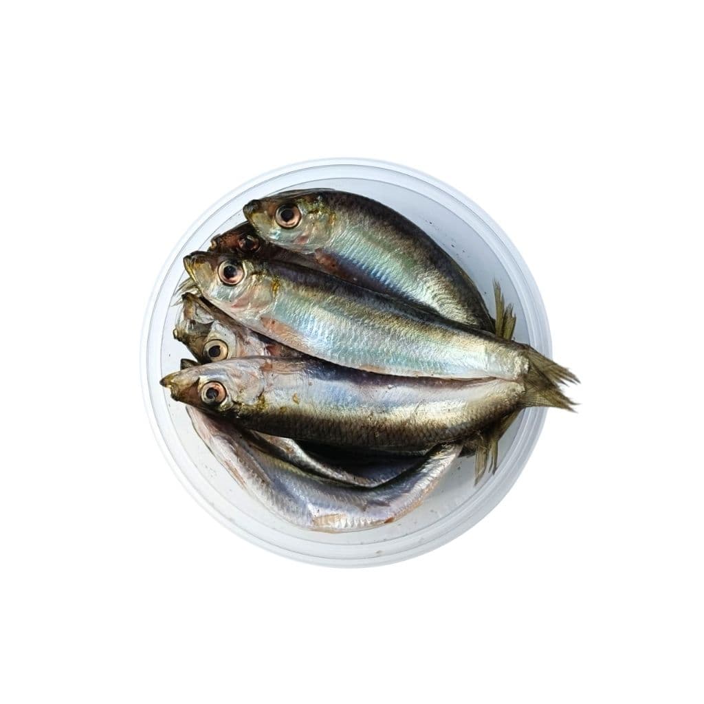 Szproty słone z przyprawami "Vergi" (100g) luz