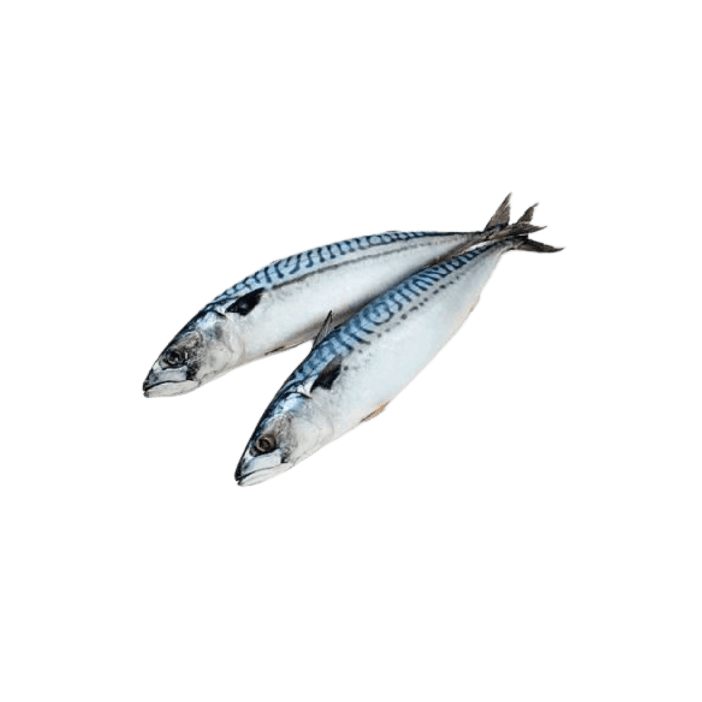 Makrela małosolna patroszona "Mooijer" (420g) luz