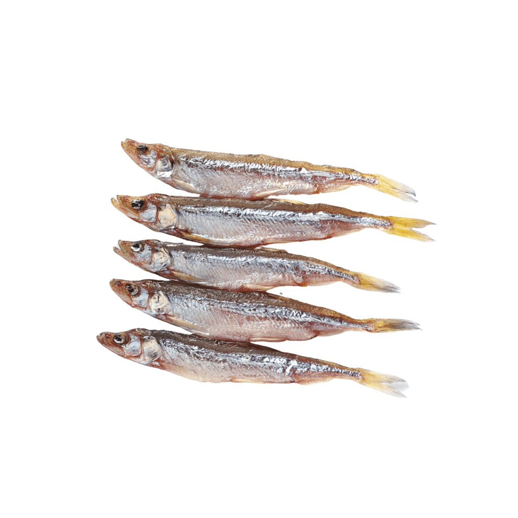 Gromadnik suszony (100g) luz