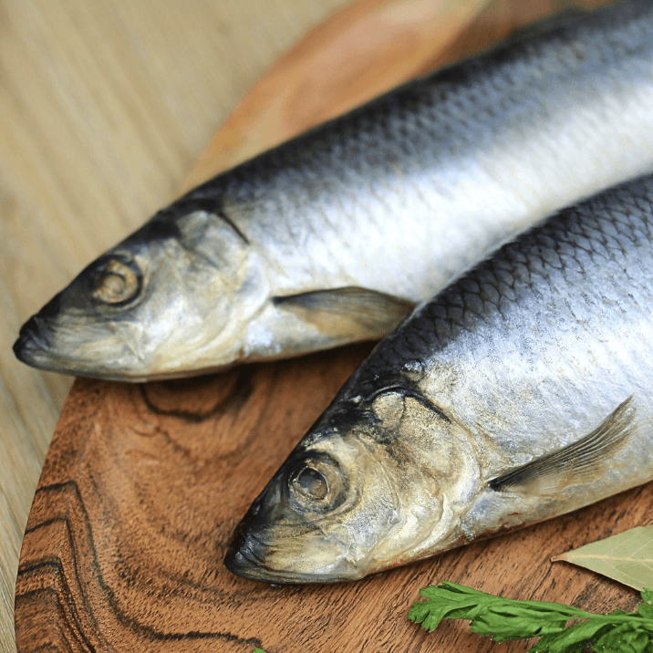 Śledzie małosolne "Mooijer" (430g) luz M4050Q - zdjęcie 2