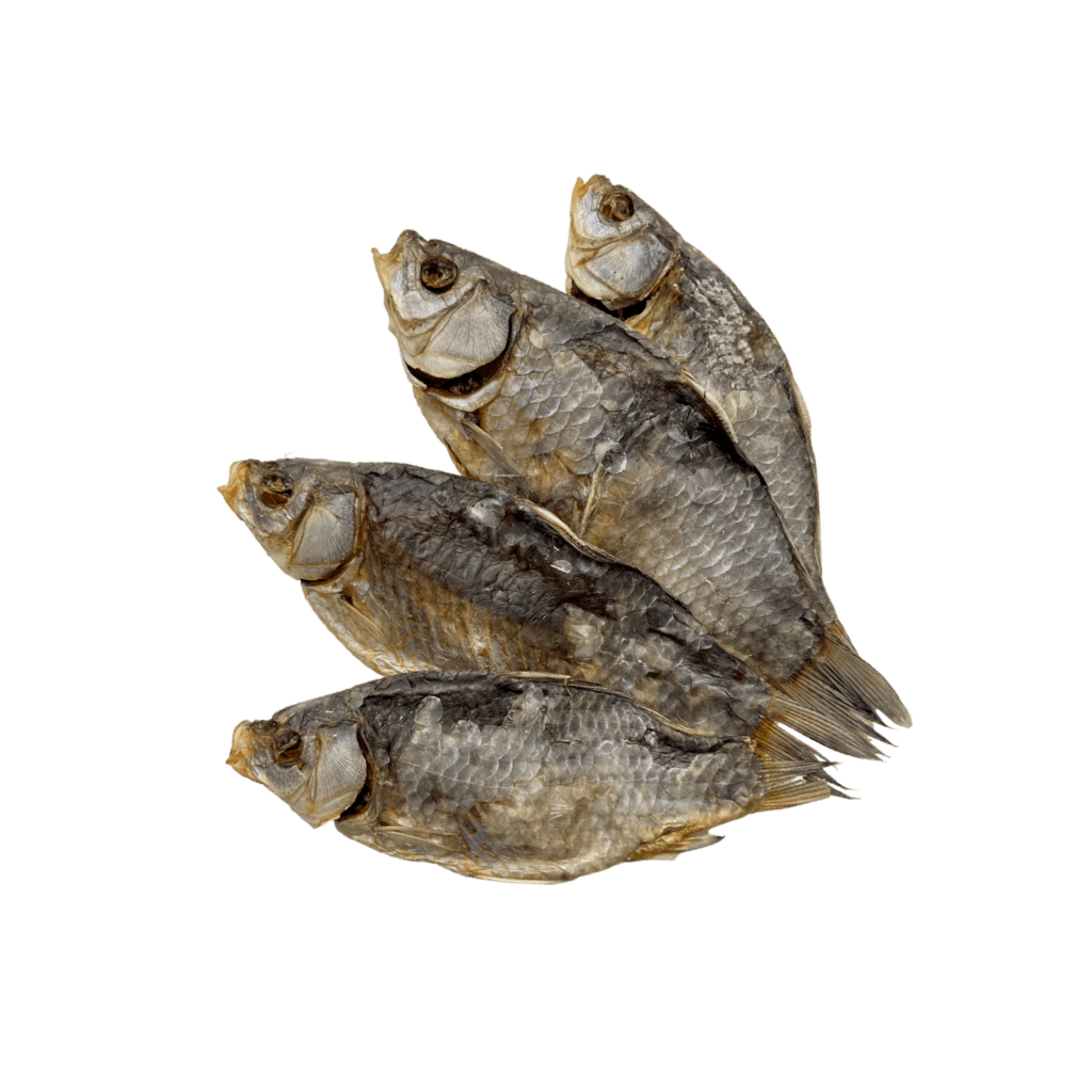 Karaś suszony patroszony z głową "Albacor" (ok.240g) C