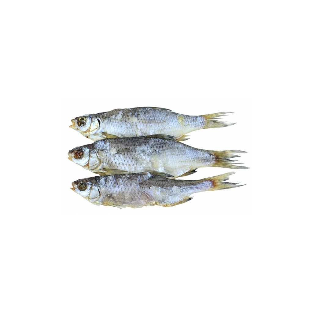 Płoć suszona mała (100g) luz